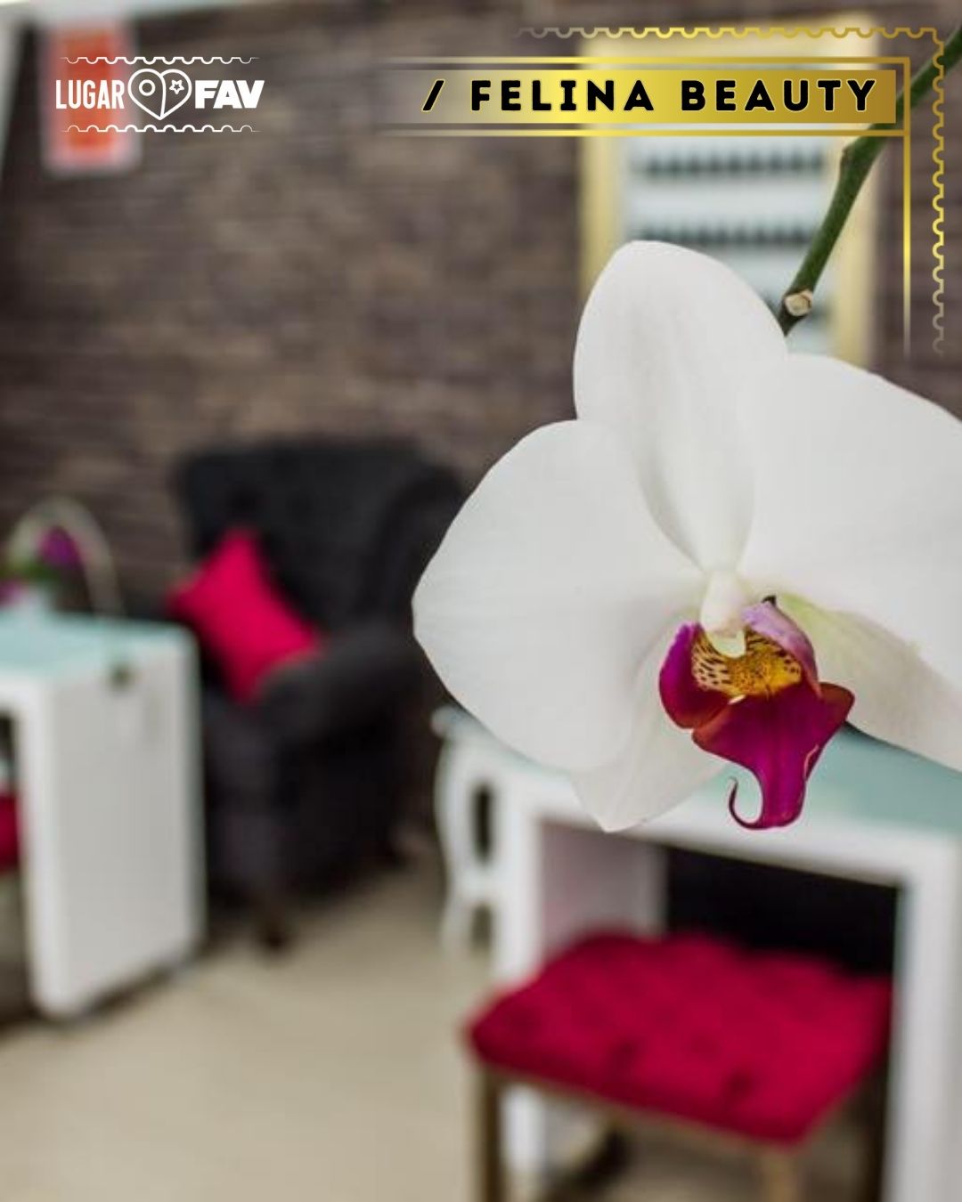 felina spa, los mejores lugares de belleza en cdmx
