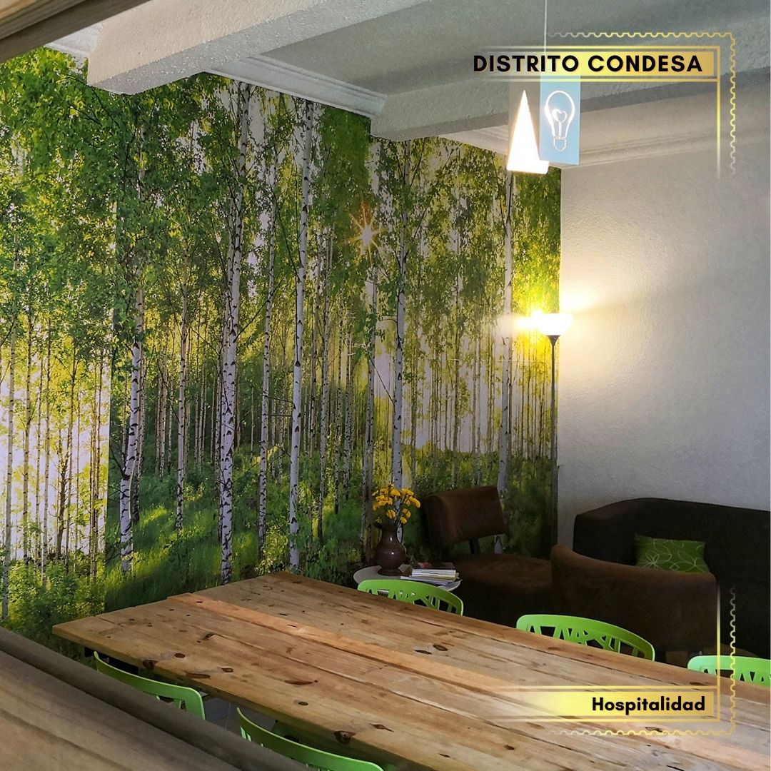 Condesa Haus, BNB en Condesa