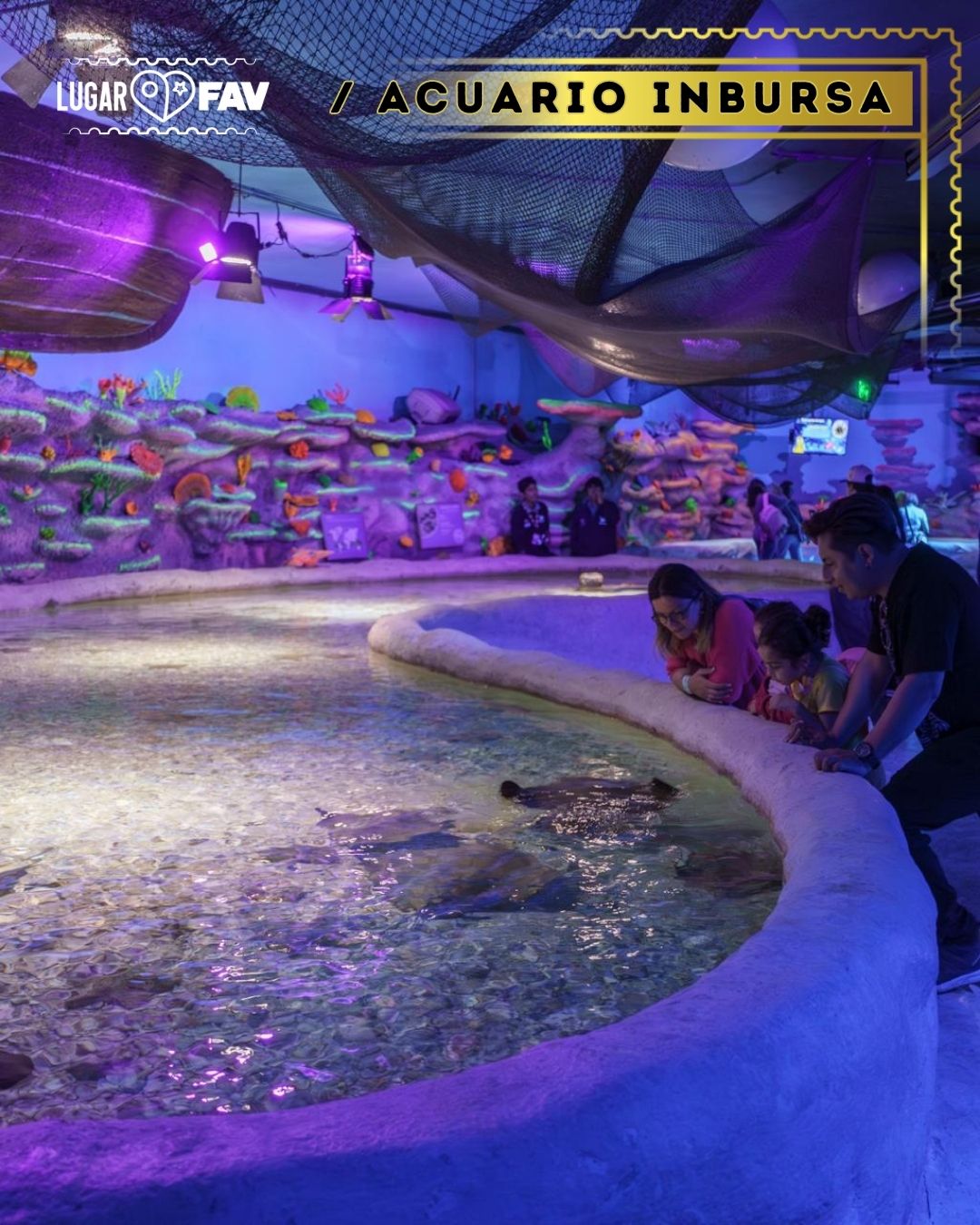 acuario inbursa