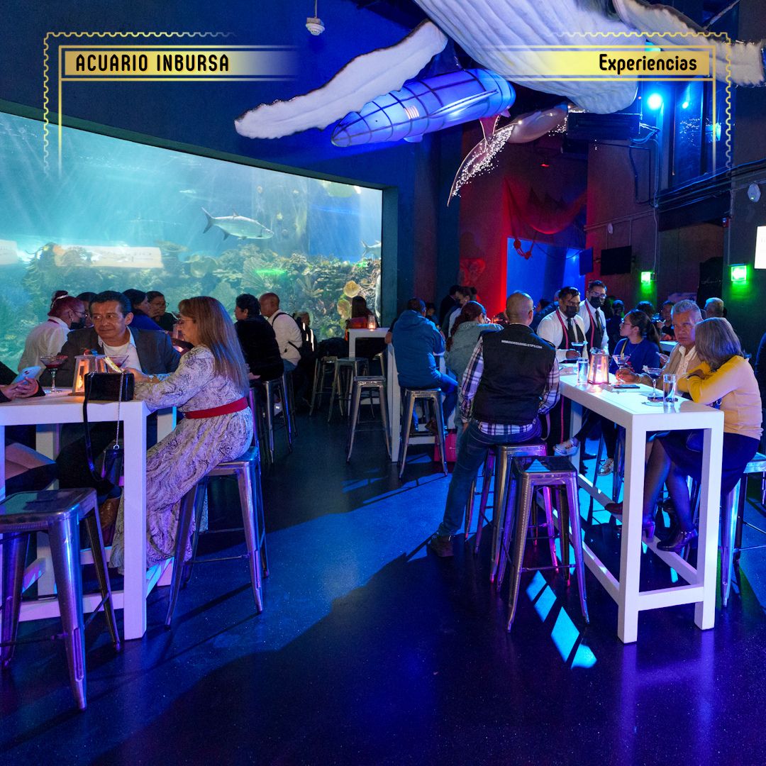 Eventos corporativos en acuario inbursa
