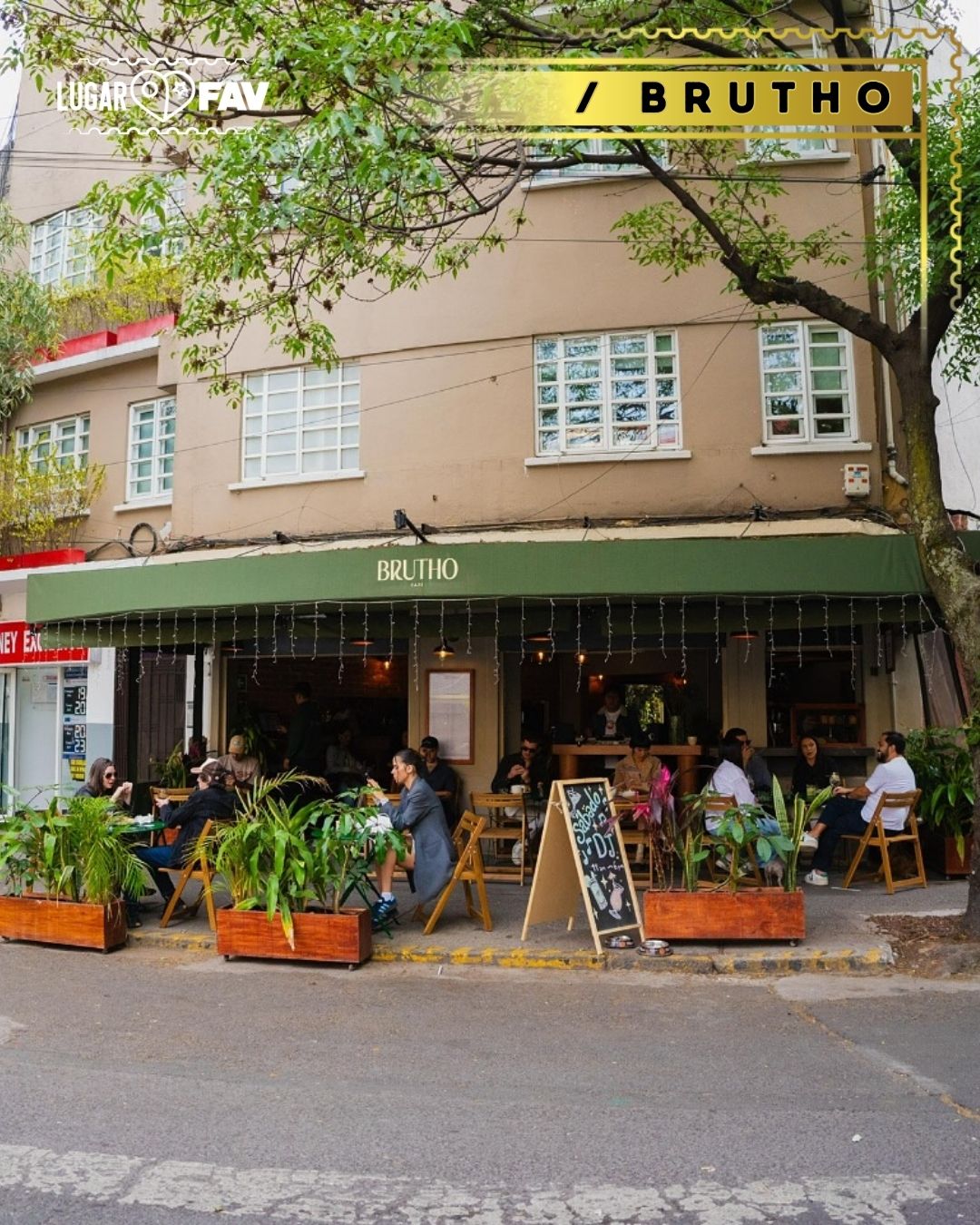 brutho, brutho restaurante, restaurantes en condesa, restaurantes en cdmx, restaurantes favoritos, restaurantes favs, restaurantes de autor favoritos, restaurantes favs mexico, restaurantes de autor en mexico, restaurantes favoritos cdmx, restaurantes fav