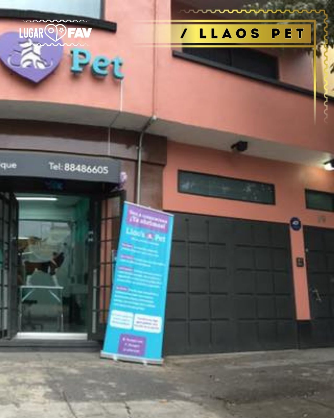 Llaos pet, veterinarias en cdmx, esteticas caninas en cdmx, mascotas en cdmx, veterinarios en mexico, veterinarios en condesa, tiendas de mascotas en cdmx, petshop in mexico city, pet shop in mexico