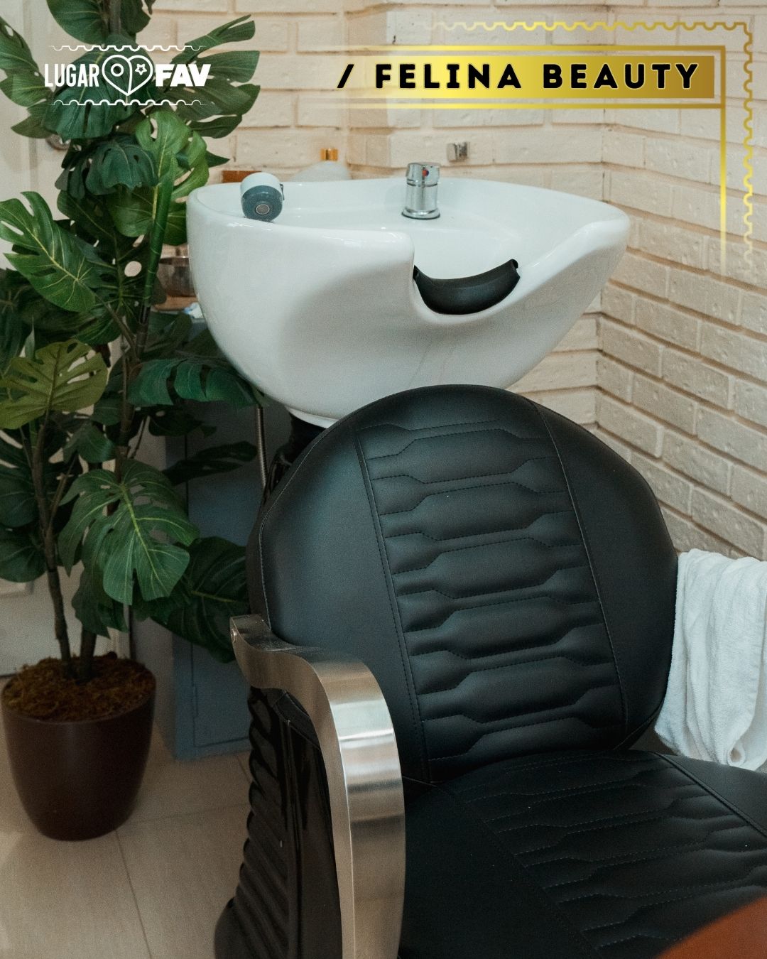 felina spa, los mejores lugares de belleza en cdmx