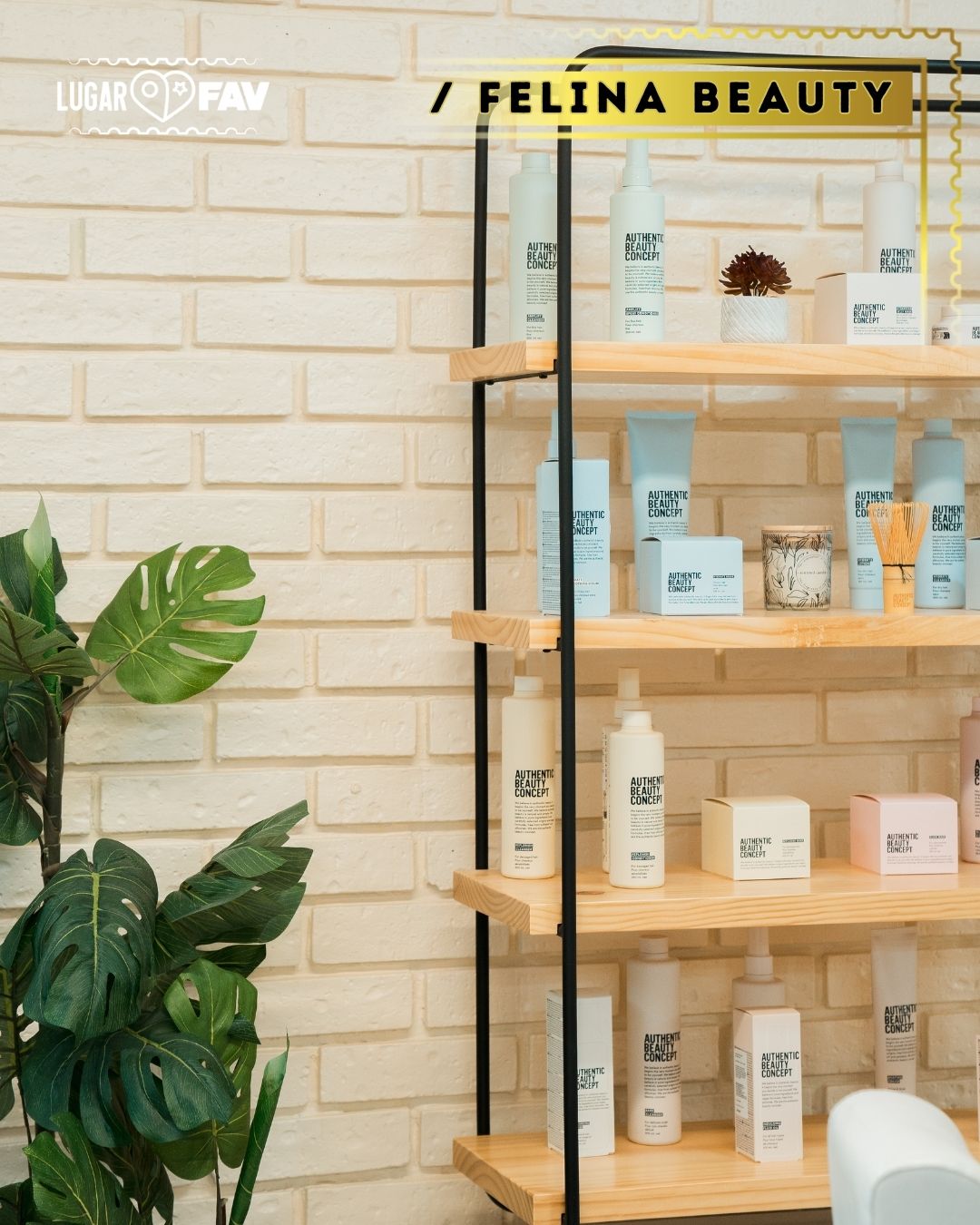 felina spa, los mejores lugares de belleza en cdmx