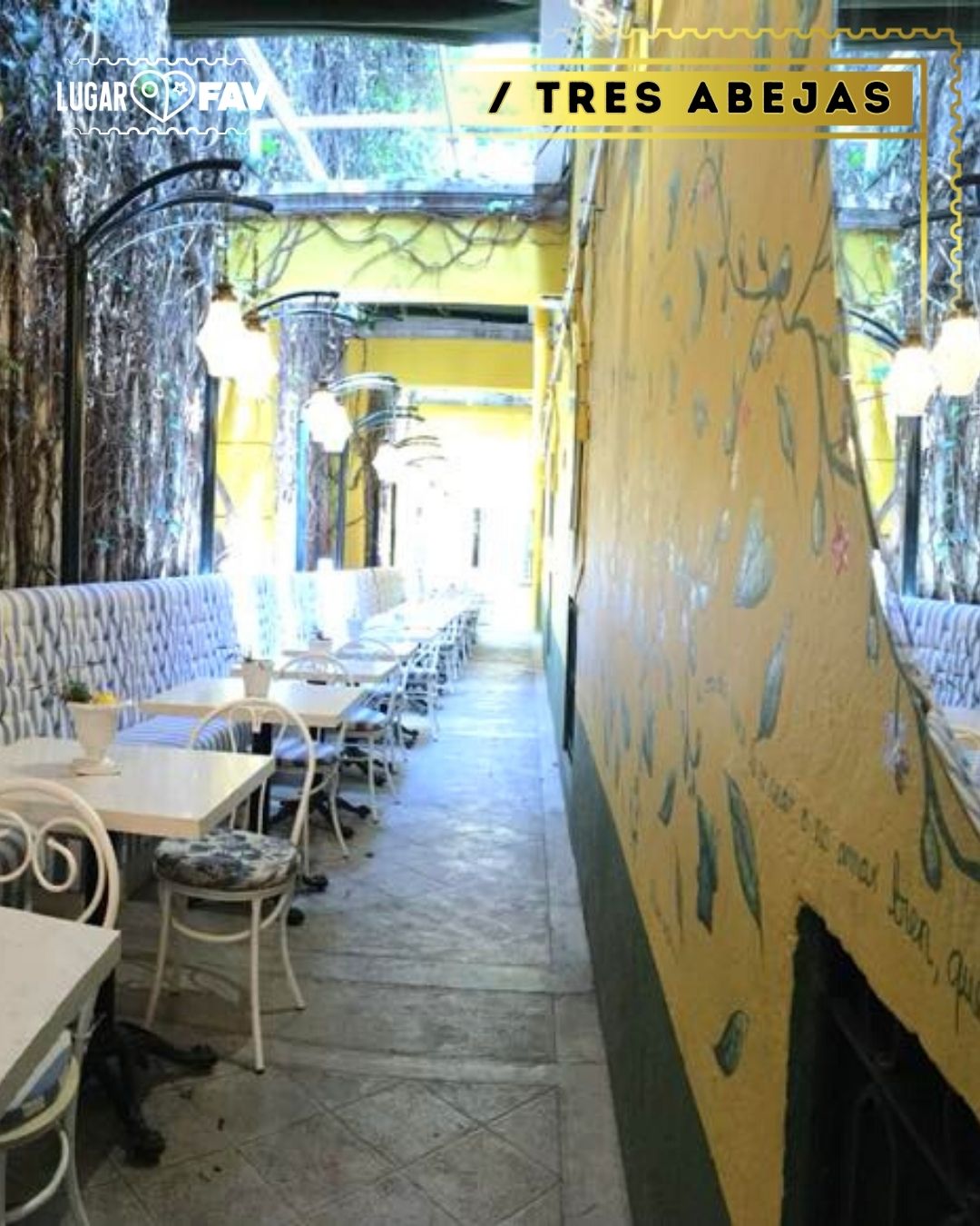 cafes tematicos en cdmx