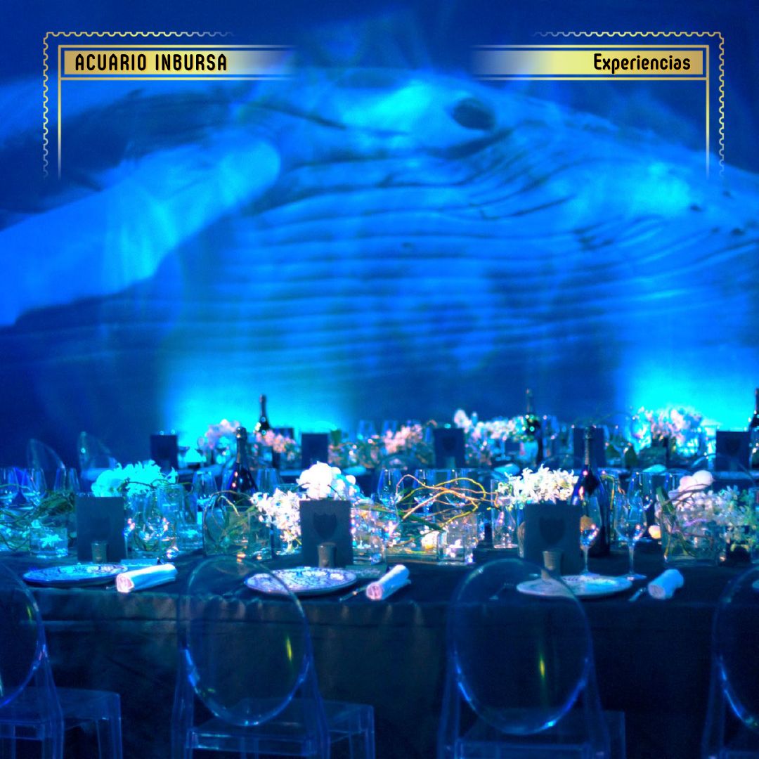 Eventos corporativos en acuario inbursa