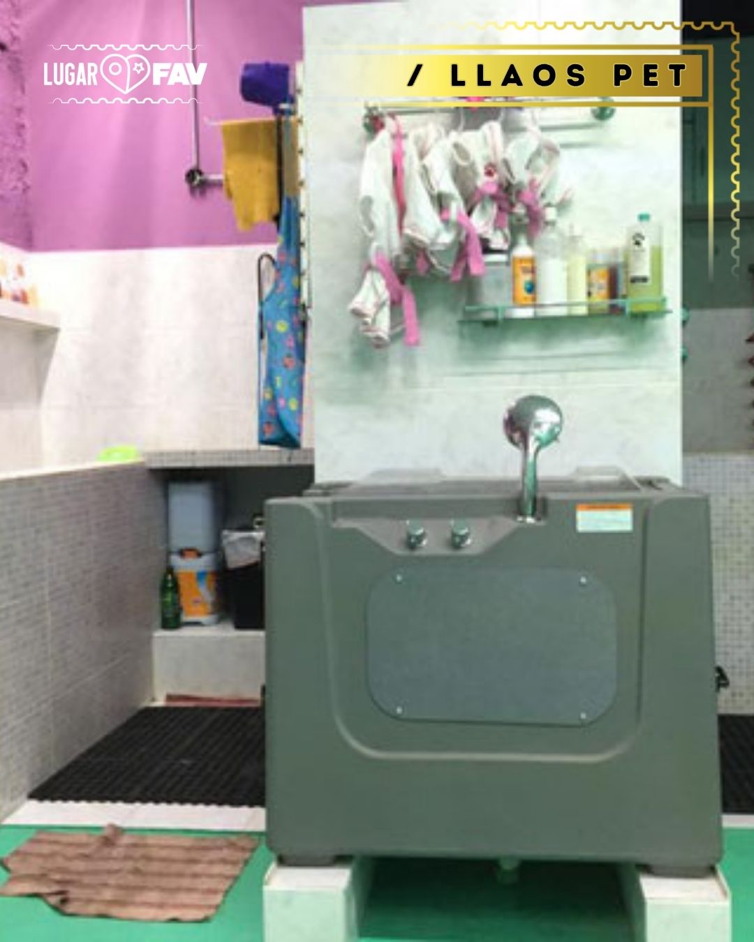 Llaos pet, veterinarias en cdmx, esteticas caninas en cdmx, mascotas en cdmx, veterinarios en mexico, veterinarios en condesa, tiendas de mascotas en cdmx, petshop in mexico city, pet shop in mexico