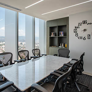 EXECUTIVE ROOM (8 personas)