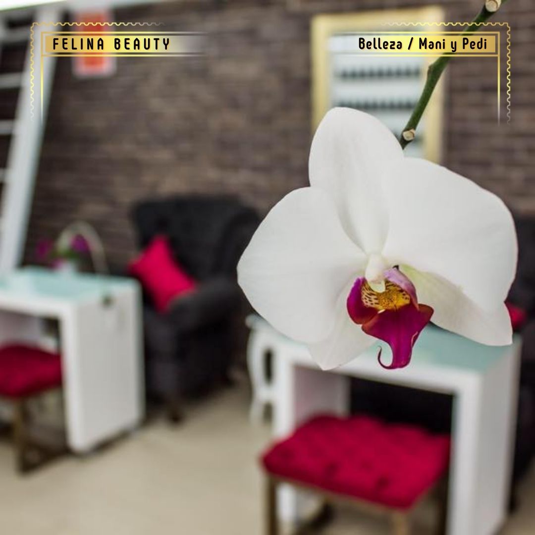 Promocion belleza dia de las madres