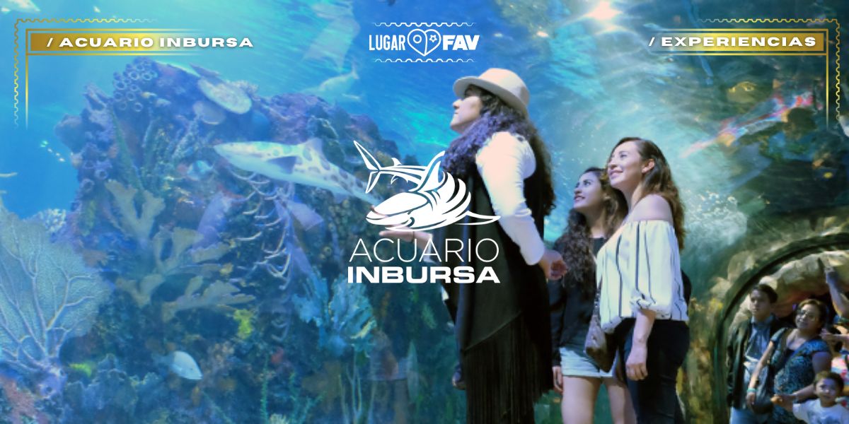 Acuario Inbursa 💛+14,000 ejemplares (350 especies) 💛 3 experiencias por 1 solo boleto