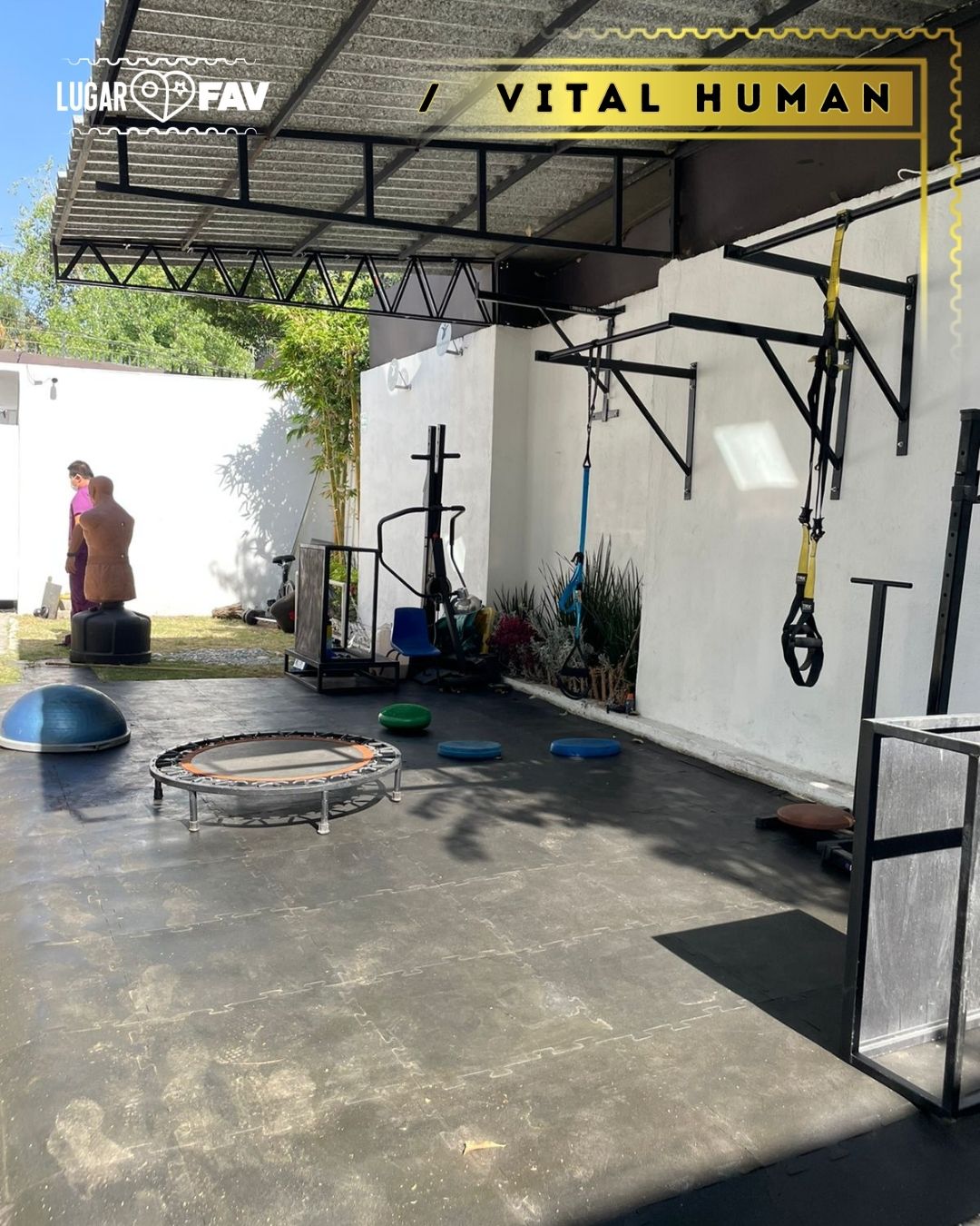 vital human, vital human fisioterapia, fisioterapia en cdmx, fisioterapia en edo mex, salud en cdmx, fisioterapia en mexico, fisioterapia mexico, fisioterapia cdmx, rehabilitacion, rehabilitacion en cdmx, rehabilitacion en edomex