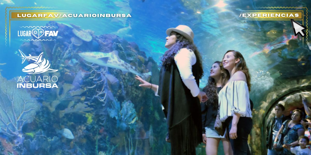 Acuario Inbursa 💛+14,000 ejemplares (350 especies) 💛 3 experiencias por 1 solo boleto
