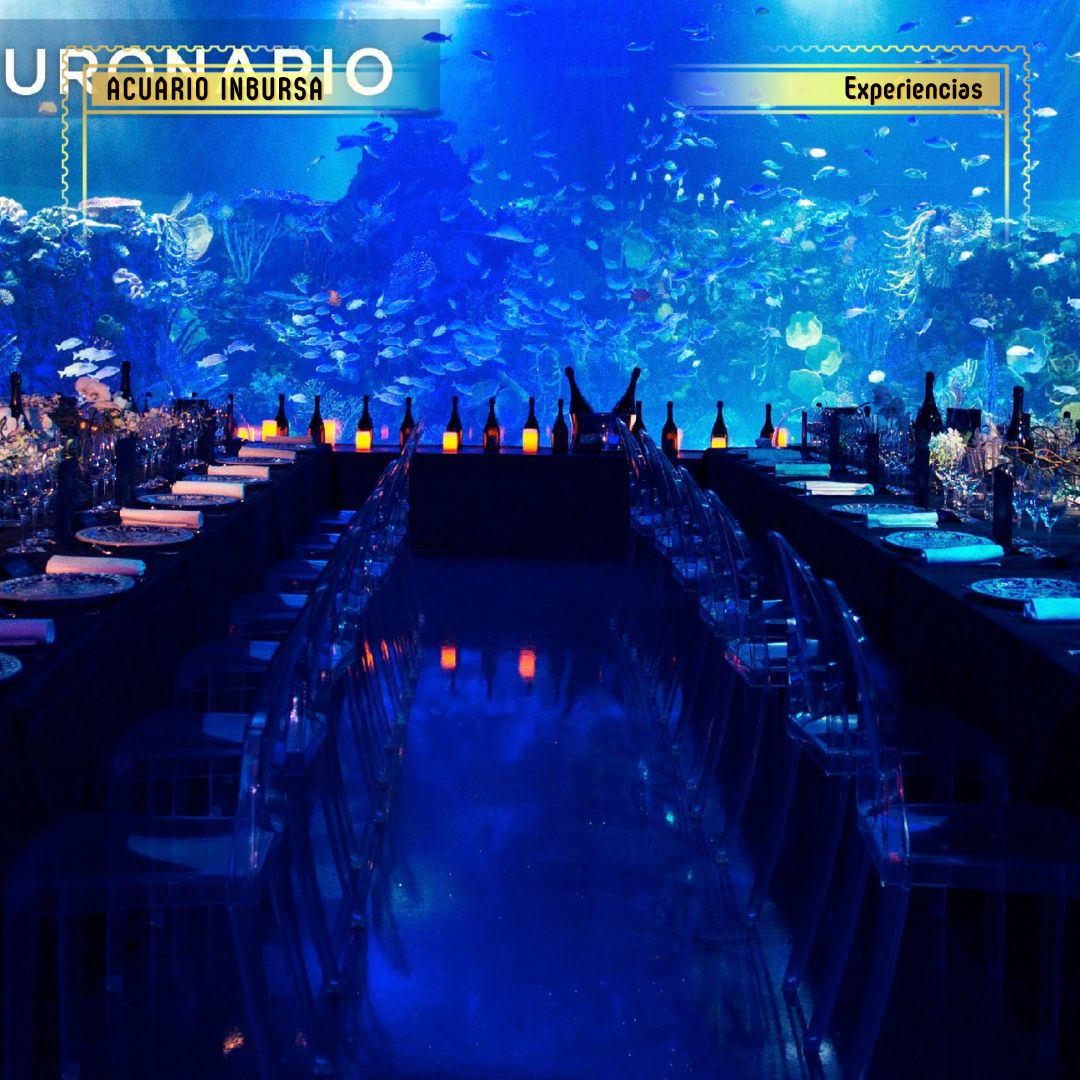 Eventos corporativos en acuario inbursa