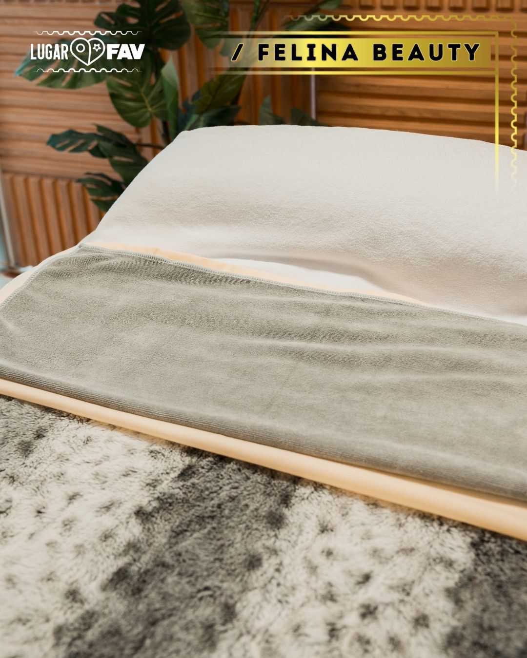felina spa, los mejores lugares de belleza en cdmx