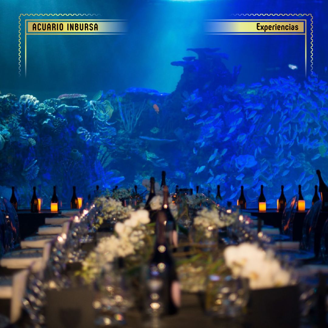 Eventos corporativos en acuario inbursa
