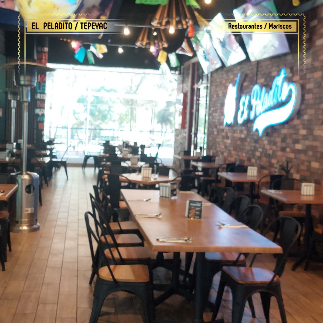 lugares petfriendly en cdmx, el peladito
