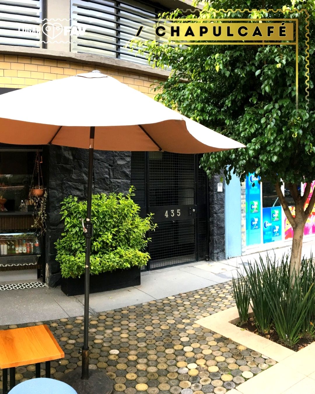 cafes en la roma