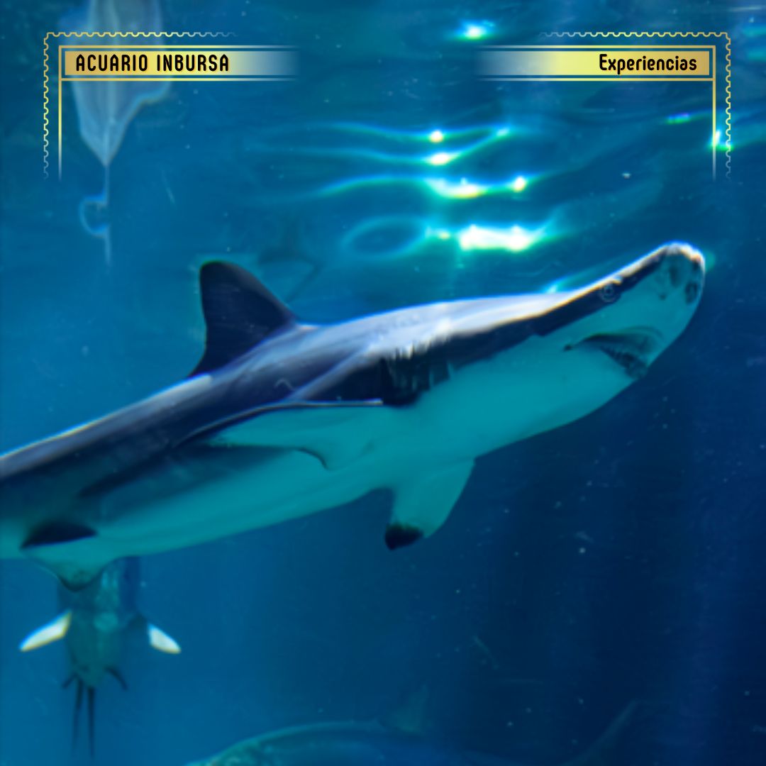 Oceanario