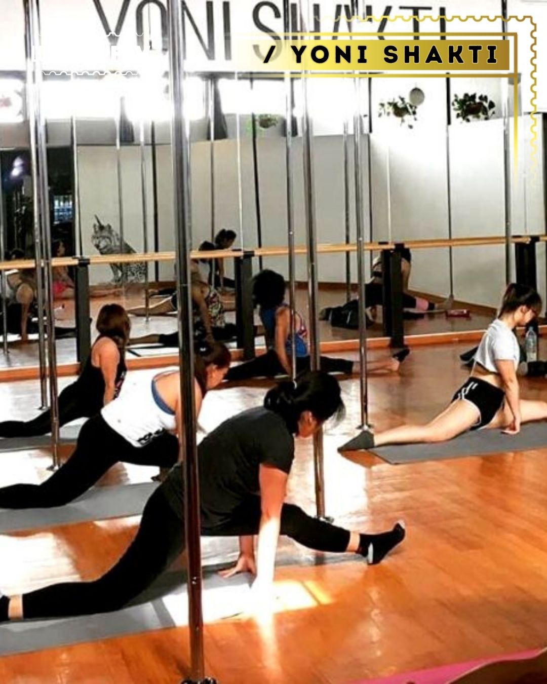 yoni shakti, yoni shakti pole dance, pole dance mexico, pole dance in mexico city, pole dace en cdmx, los mejores lugares de pole dance en mexico, los mejores lugares de pole dance en cdmx