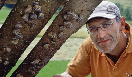 Armin Bähler mit einigen seiner Schnecken, die unter Holzpaletten leben. (Bild: Nana do Carmo) 