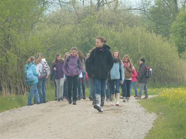 Abenteuer im Moor