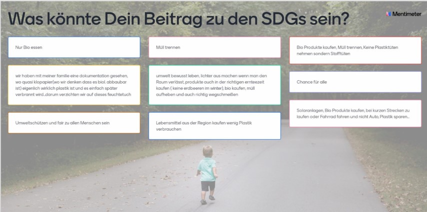 Was könnte dein Beitrag zu den SDGs sein?