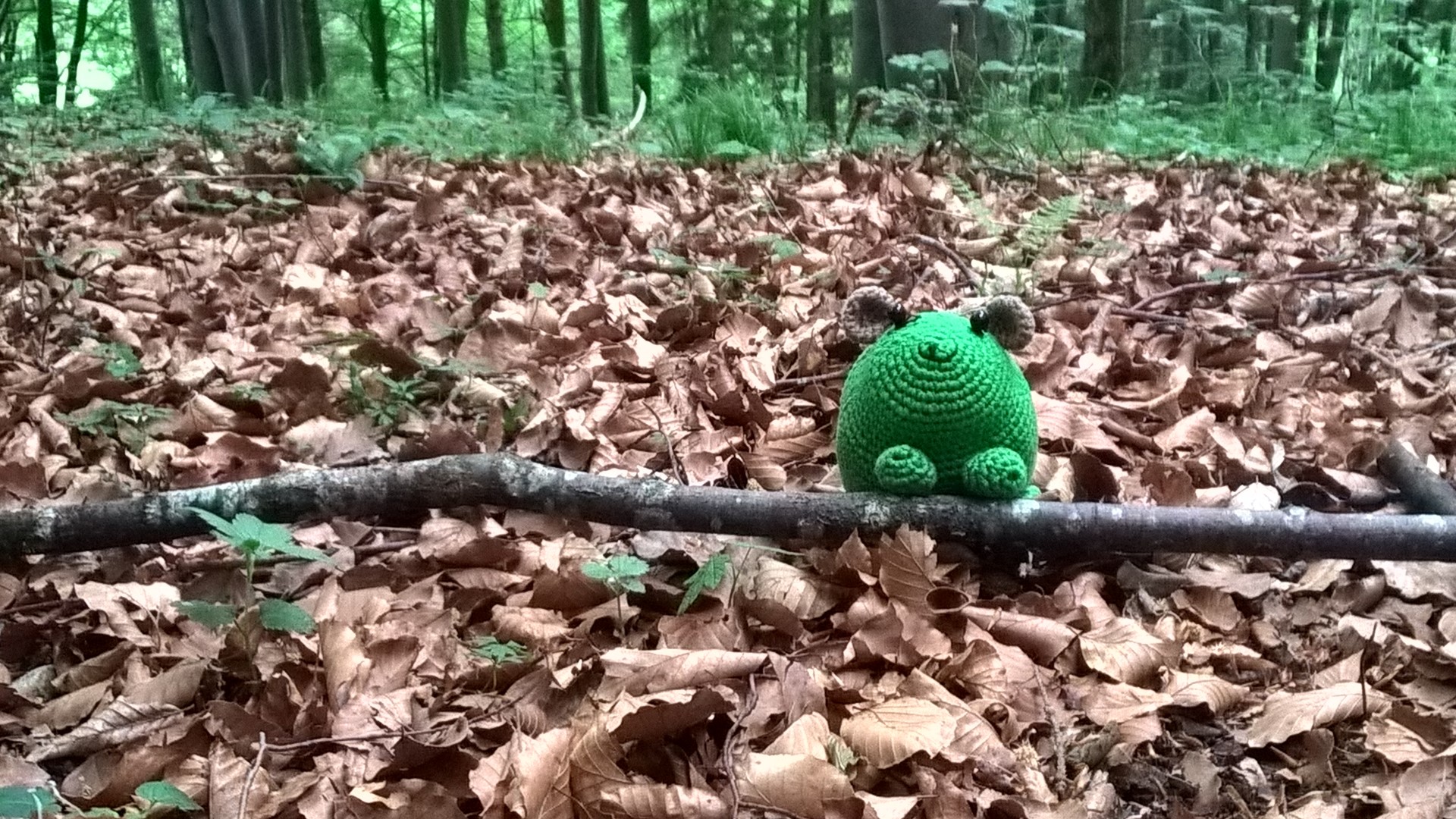 Herbert, dem Klassenhamster der  7 A, gefällt es im Bergwald