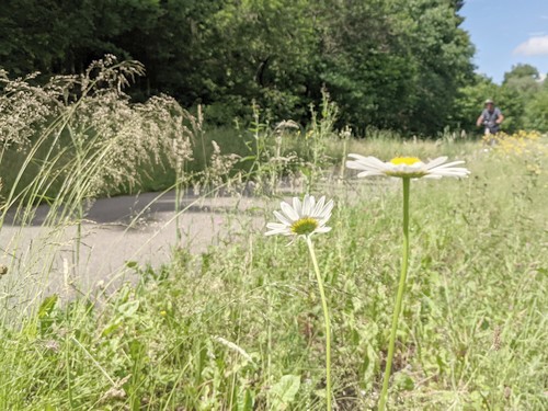 Fahrradtouren