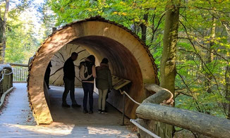 Natur Nationalpark Eifel