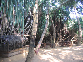 Colombo-Mount-Lavinia-Hotel-Beach-Restaurant-Cafe-Terrace-Sri-Lanka