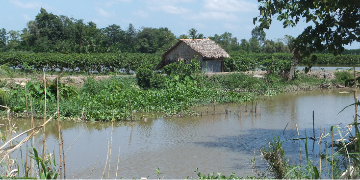 Mekong-Delta-Canal-River-Hut-Vietnam
