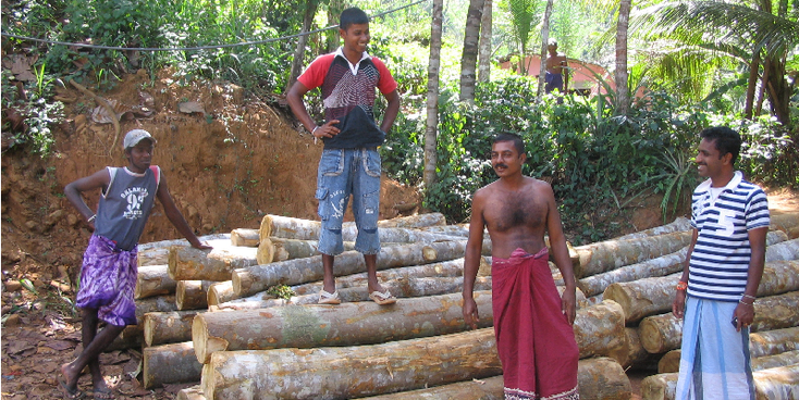 Kitulgala-Bridge-On-The-River-Kwai-Sri-Lanka-Film-Movie-Workman-Wood