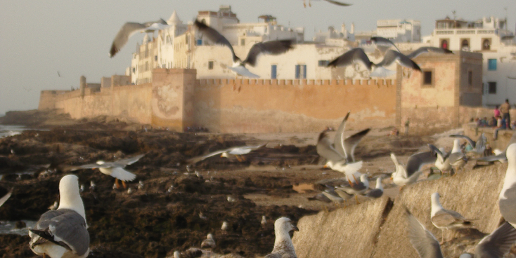 Essaouira-Portugese-City-Coast-Atlantic-Morocco-Boats-Citywall-Pigeon