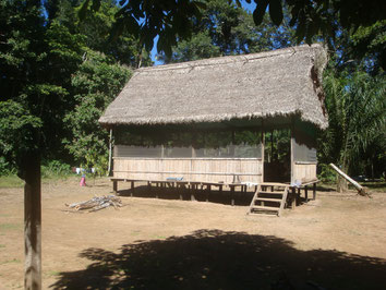 Maididi-National-Park-Rurrenabaque-Beni-River-Reed-Cabin