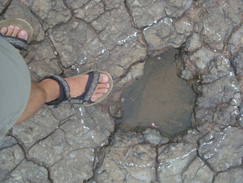Sousa-Dinosaur-Park-Brazil-Footsteps-Steps