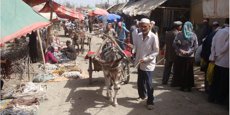 Hotan-China-Silkroute-Donkey-and-Wagon-Ugur-Uigur-Market