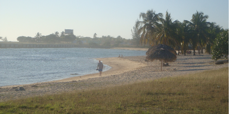 Playa-Giron-Cuba-Bay-of-Pigs-Invasion-CIA-beach-Fidel-Castro-Palmtree