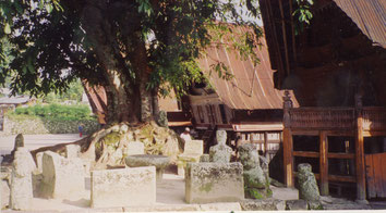 Samosir-House-Architecture-Sumatra-Toba-Lake-Indonesia