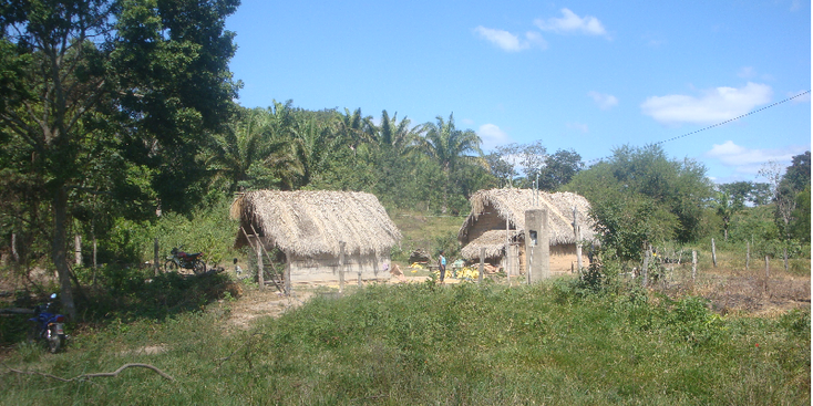 Amboro-National-Park-River-Jungle-Bolivia-Bueno-Vista-Reed-Huts