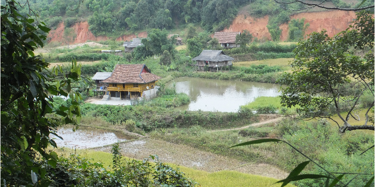 Muong-Phang-Ricefield-Huts-Vietnam