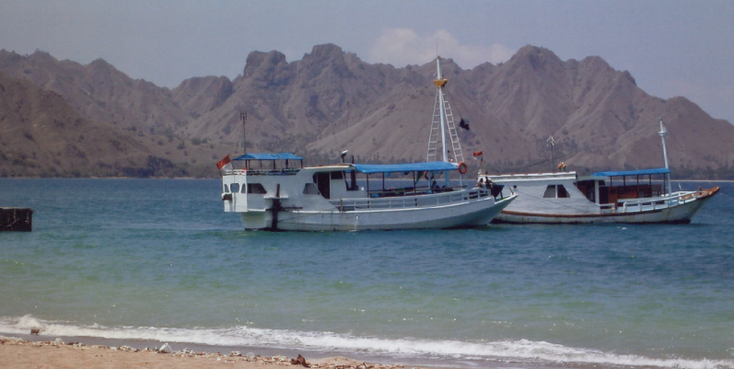 Rinca-National-Park-Indonesia-Monitor-Lizard-Giant-Komodo-Boat