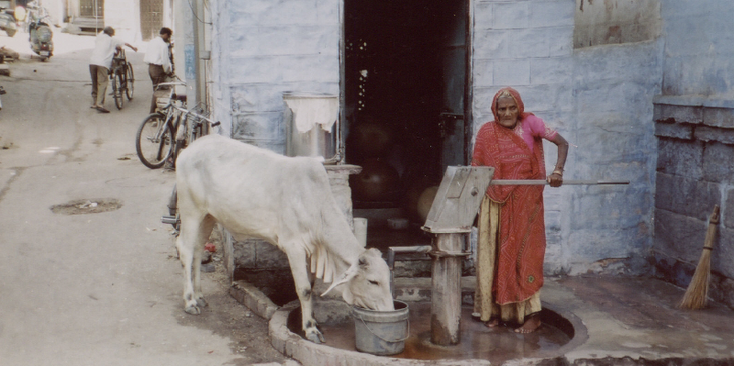 Jodphur-Waterpump-Holy-Cow-Blue-City-India-Streetlife