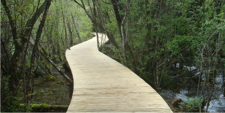 Jiuzhaigou-National-Park-Water-Trees-Clear-Minerals-China-Walkways-Boards