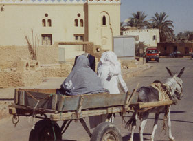 Siwa-Berbers-Egypt-Oasis-Desert-Donkey-Wagon