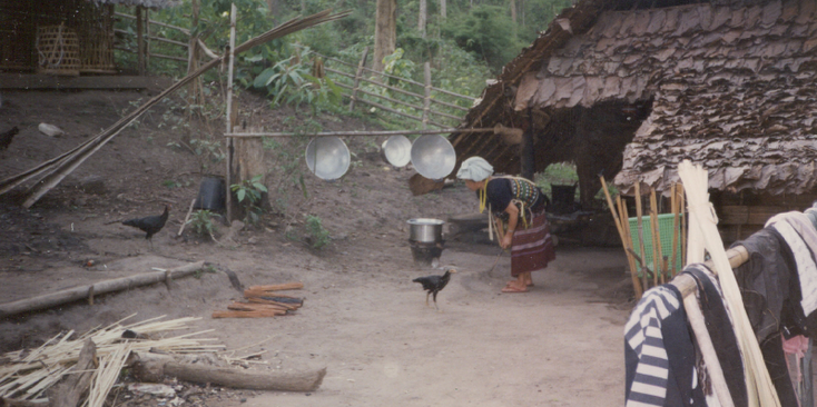 Chang-Mai-Reed-Hut-Chicken-Traditional-People-Village-Thailand