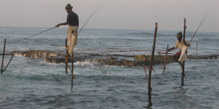 Koggala-Stilt-Fisherman-Sri-Lanka