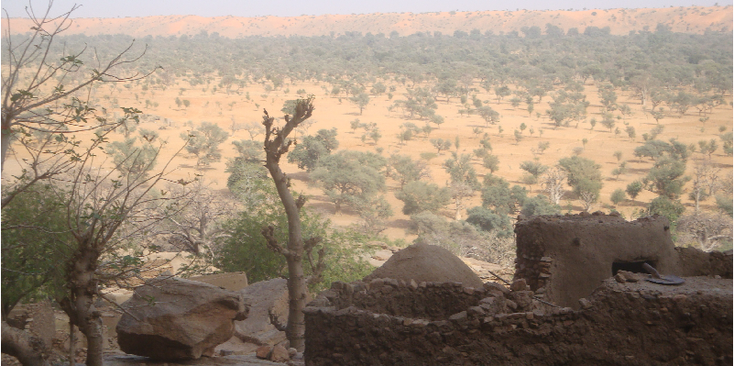 Tirelli-Dogon-Country-Mali-Huts-Mudbrick-Bandiagara