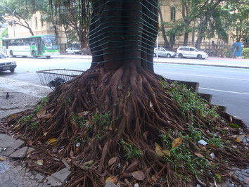 Sao-Paulo-Praca-de-Republica-Brazil-Parc