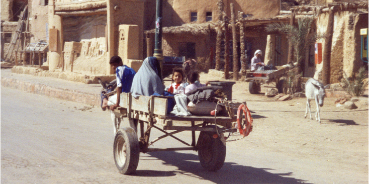 Siwa-Berbers-Egypt-Oasis-Desert-Mudbrick-Donkey-Wagon-Covered