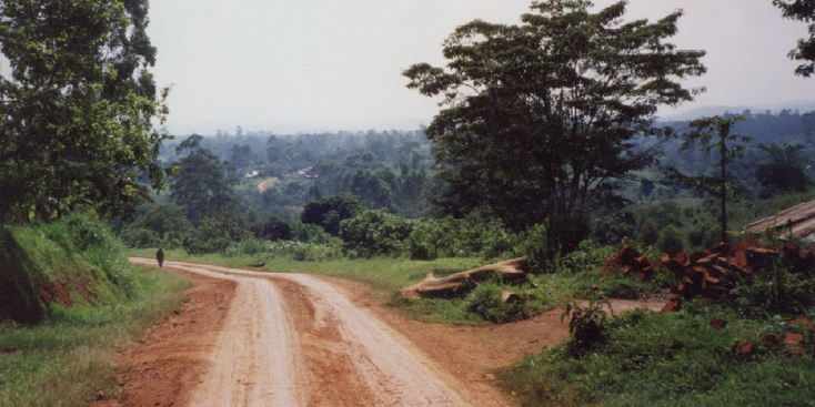 Kibale-National-Park-Uganda-Chimpanzee-Monkey-Forest